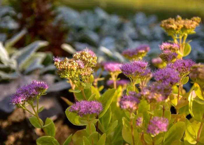 아파트 Grabar Roč